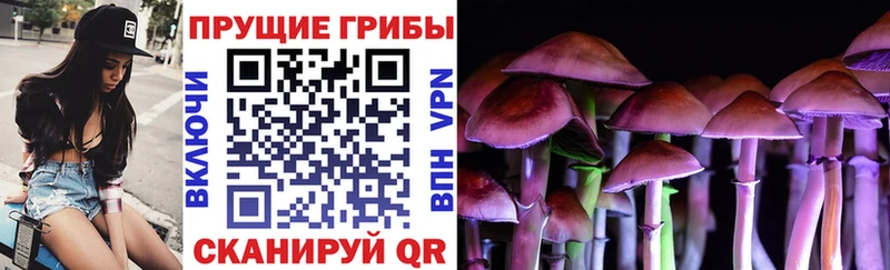 Купить где  Дагестанские Огни  Галлюциногенные грибы MAGIC MUSHROOMS 
